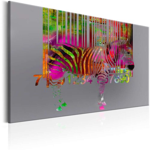  Slika - Code of Zebra 60x40 Slike