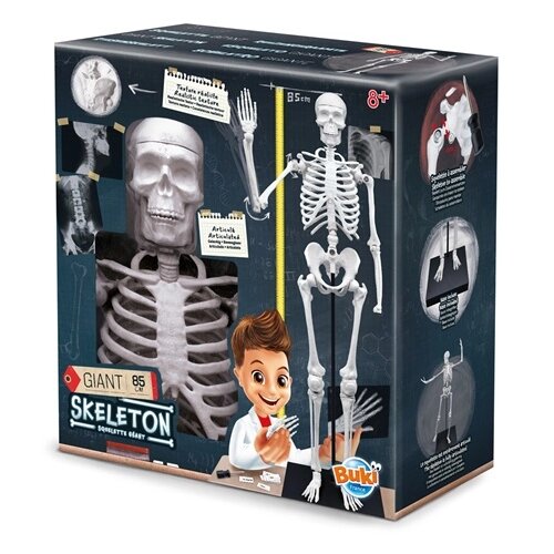 BUKI Skelet 104919 Cene