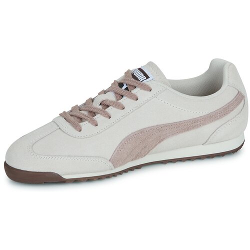 Puma Nizke superge Arizona SD Bež Slike