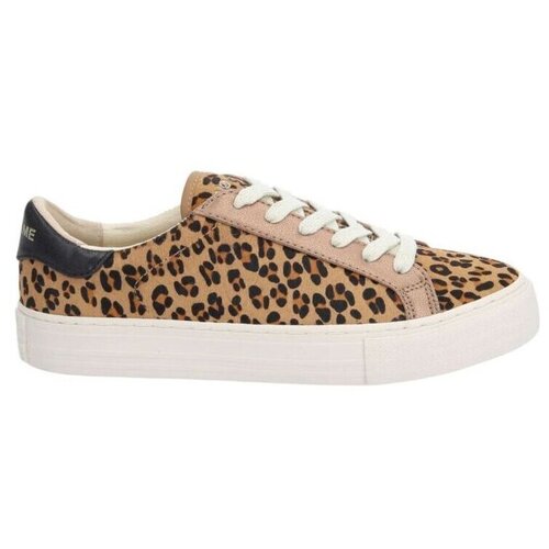  Nizke superge Baskets ARCADE SNEAK.PERFO W Kostanjeva Slike