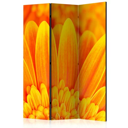  Paravan u 3 dijela - Yellow gerbera daisies [Room Dividers] 135x172