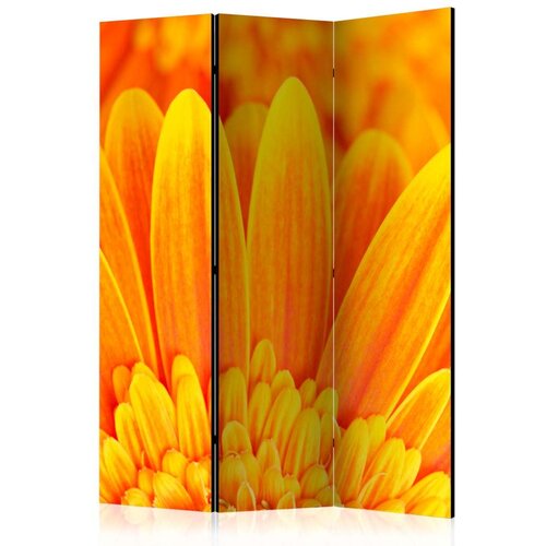  Paravan u 3 dijela - Yellow gerbera daisies [Room Dividers] 135x172 Slike