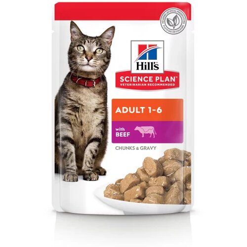 Hill’s Hill’s Science Plan Adult Govedina 85g Cene
