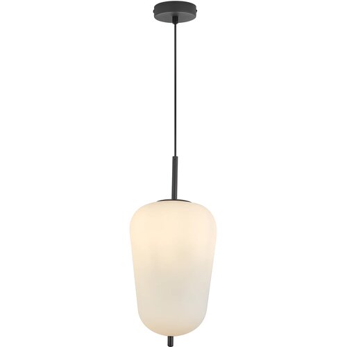 Braytron Visilica E27 Opal/Crni BV01-00102 Cene