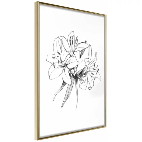  Poster - Sketch of Lillies 40x60