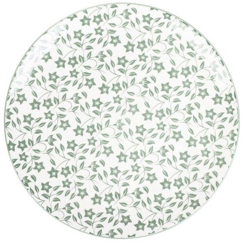  Tanjir RUBIA 27cm - Green - HML Cene