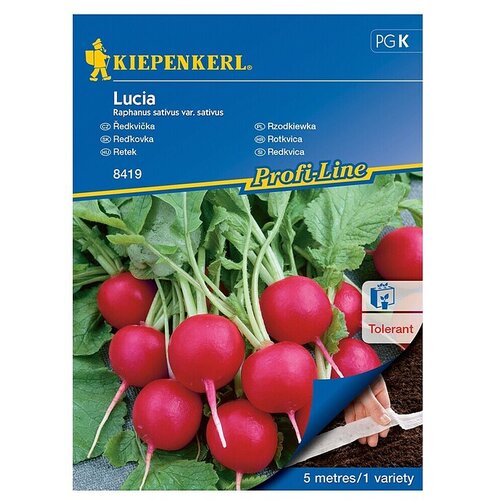 KIEPENKERL Zelenjavna semena Redkvica Lucia (Raphanus sativus var. sativus, Čas žetve: April) Cene