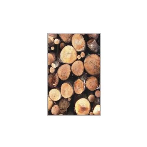Conceptum Hypnose Tepih Hmnt550, Pravougaoni, 80 x 150 cm, Smeđi Slike