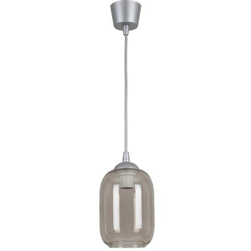  Brilagi-LED Visilica na sajli R GLASS 1xE27/60W/230V prečnik 14 cm srebrna/dimno-siva Cene