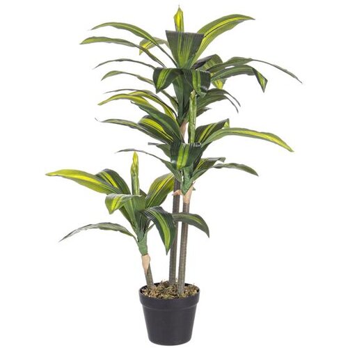  BILJKA DRAČENA 88CM ZELENA Cijene