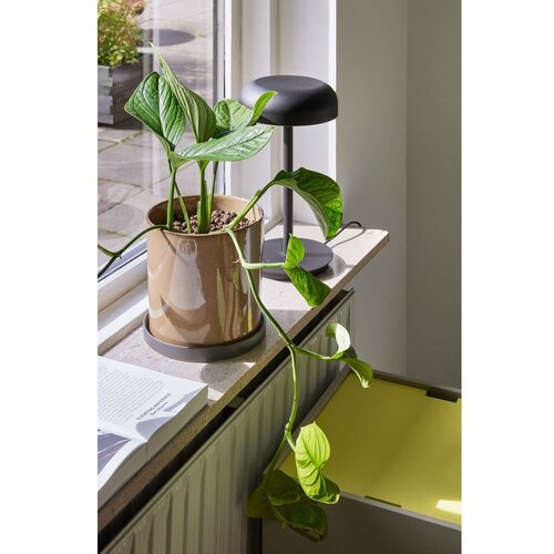 H&amp;uuml;bsch Crna LED stolna lampa s mogućnosti zatamnjivanja (visina 37 cm) Velo &amp;ndash; Slike