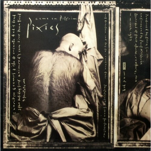 Ammonite PIXIES - Come on pilgrim Cene