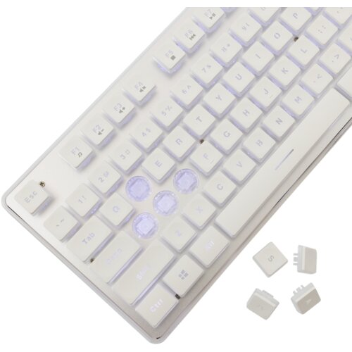 WHITESHARK Tachi GK-003241 gaming tipkovnica, US, bijela Slike
