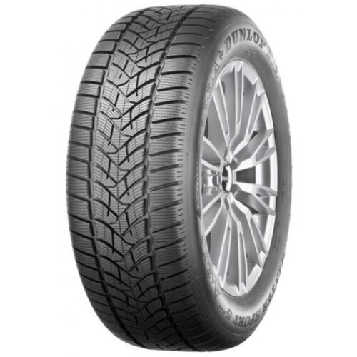 Dunlop Zimska guma 225/55R16 95H WIN Cene