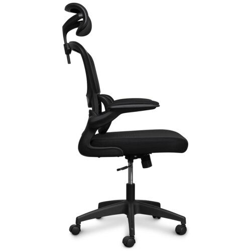 Connect IT COC-2500-BK - Kancelarijska stolica ForHealth DeltaPro crna Slike