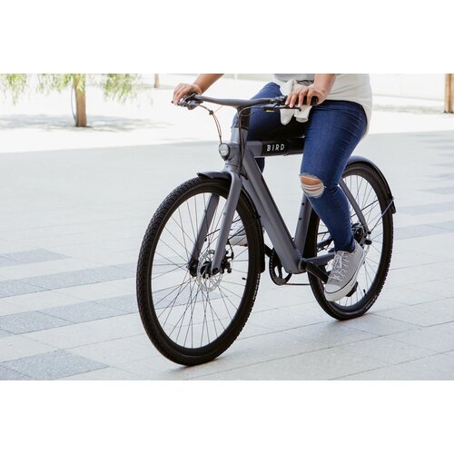 Bird BIKE A-FRAME električno kolo Slike