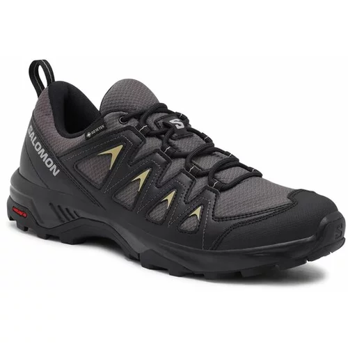 Salomon Trekking čevlji X Braze GORE-TEX L47180500 Siva