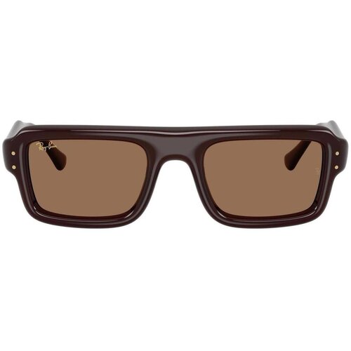Ray-ban Sončna očala Pilot - Unisex 0RB4954 689673 Kostanjeva Slike