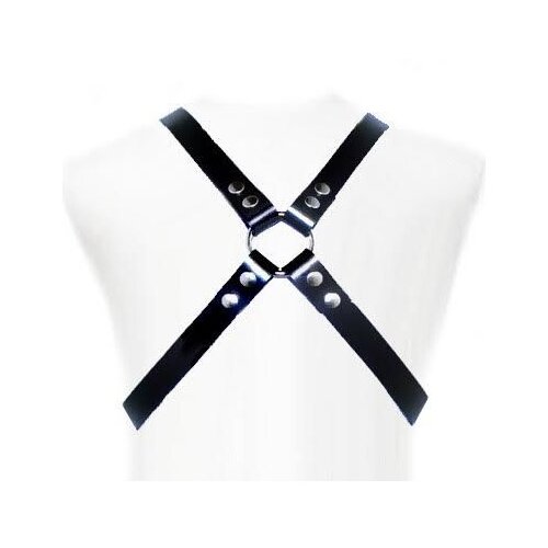 LEATHER BODY BASIC HARNESS Cene
