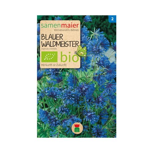 Samen Maier BIO Asperula Cene