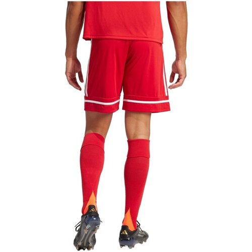 Adidas Kratke hlače &amp;amp; Bermuda Squa25 Sho M Rdeča Slike