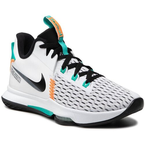 Nike Košarka Lebron Witness V pisana Cene