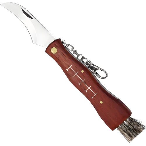  Gljivarski sklopivi nož s četkicom - 17cm / Smeđa KP37717 Cene