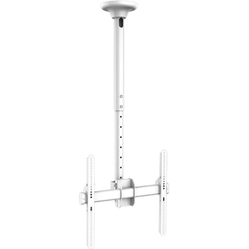  Stropni okretni nosač za TV 32" - 80" 50kg JOLLYLINE Cijene