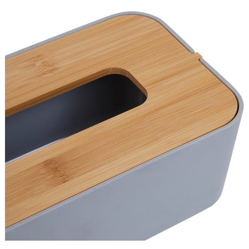 Premier Housewares Plastična kutija za maramice Canyon &amp;ndash; Slike