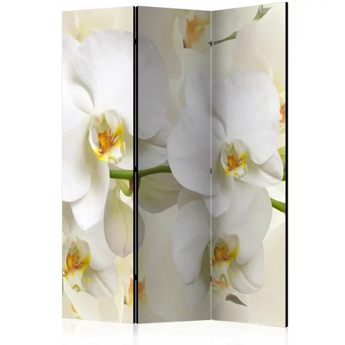 Paravan u 3 dijela - Orchid Branch [Room Dividers] 135x172