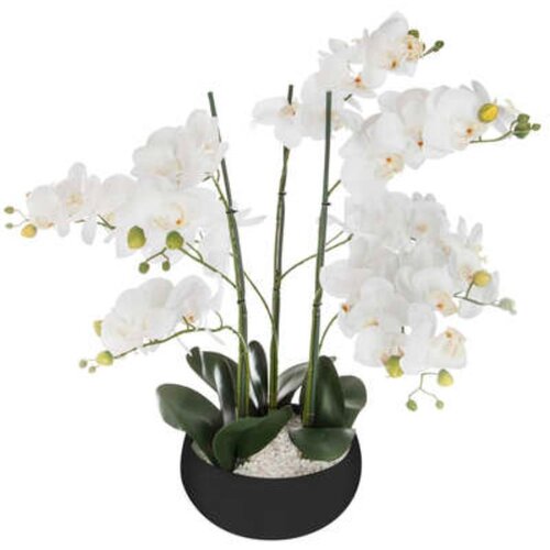 Atmosphera UMJETNO CVIJEĆE U TEGLI ORHIDEJA 65CM PE/CEMENT CRNA Slike