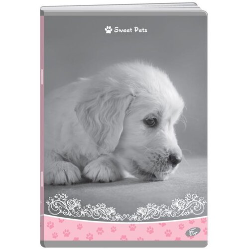 Elisa zvezek A4 52l brezčrtni sweet pets Cene