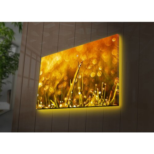 Wallity Slika sa LED osvetljenjem 4570DACT-66, 45x70 cm Cene