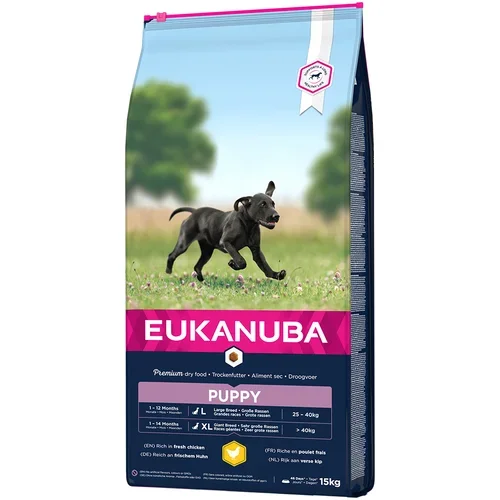 Eukanuba Puppy Large Breed piščanec - Varčno pakiranje: 2 x 15 kg