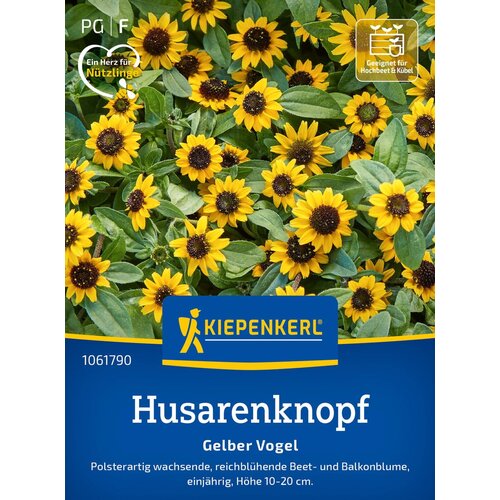 KIEPENKERL Plazeča cinija "Yellow Bird" - 1 pkt. Cene