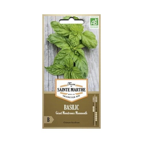  Bazilika "Géant Monstrueux Mammouth" Cene