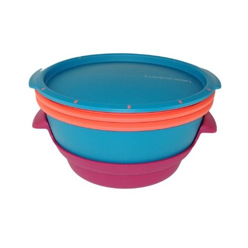 Tupperware Aparat za kuvanje na pari Microgourment, 2.5l, &amp;Scaron;areni Slike