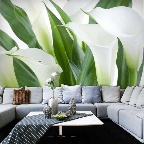  Tapeta - bunch of flowers - callas 350x270 Slike