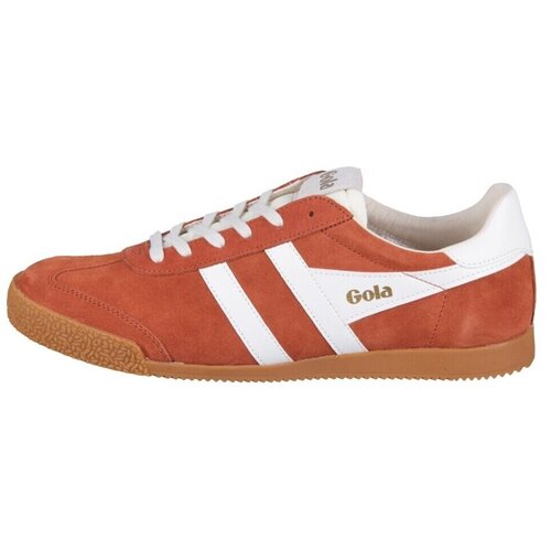 Gola Elan sarena Cijene