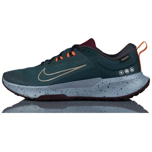 Nike Nizke superge Juniper Trail 2 Gtx Zelena Cene