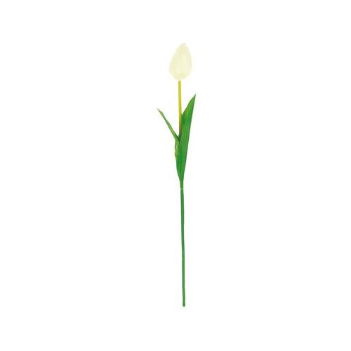  TULIPAN 49CM BIJELI 80061 Cene