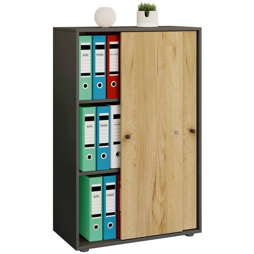 MID.YOU Arhivska Omara Lona Xl, Antracit, Barva Hrasta Cene