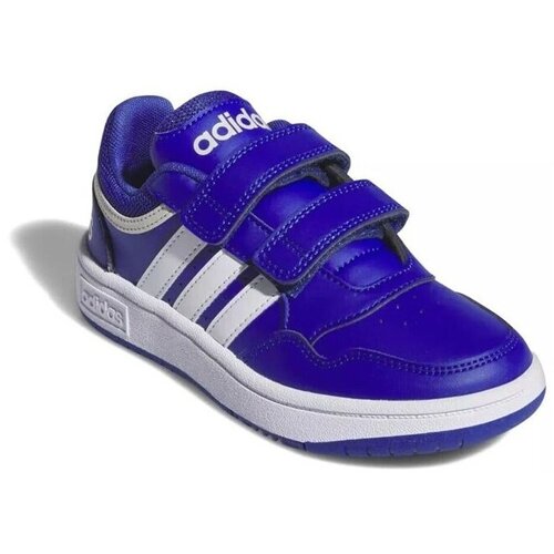 Adidas Nizke superge Hoops 3.0 Modra Cene