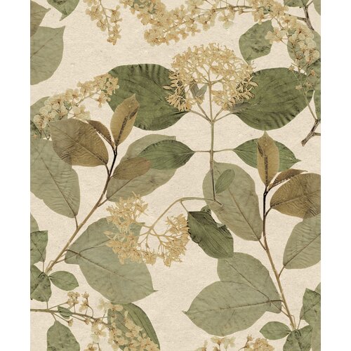 Decoprint Wallcoverings Tapeta Castanum 4 boje Slike