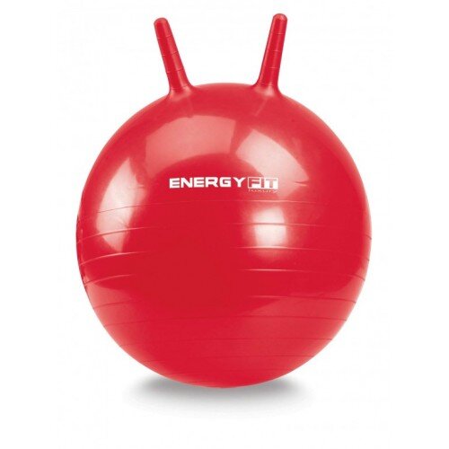  Pilates lopta energy fit 55 cm Cene