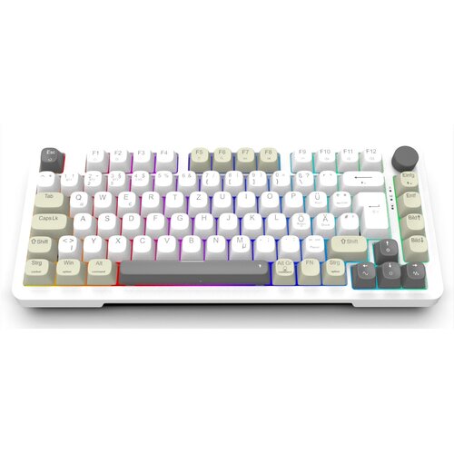  Inca IKG-455 keyboard Gaming USB + RF Wireless + Bluetooth QWERTY German White Cijene