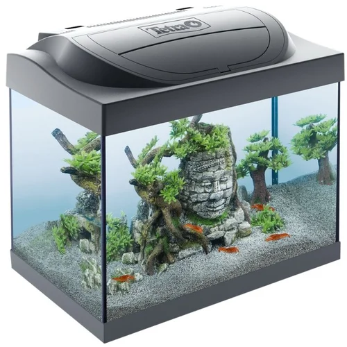 Tetra akvarij Starter Line LED za kozice crni 30 l