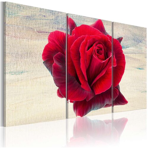  Slika - Lyrical rose 90x60 Slike