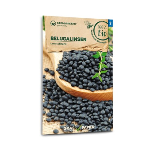 Samen Maier Bio beluga leča Cene