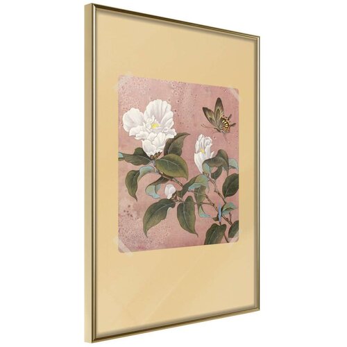  Poster - Rhododendron and Butterfly 30x45 Slike